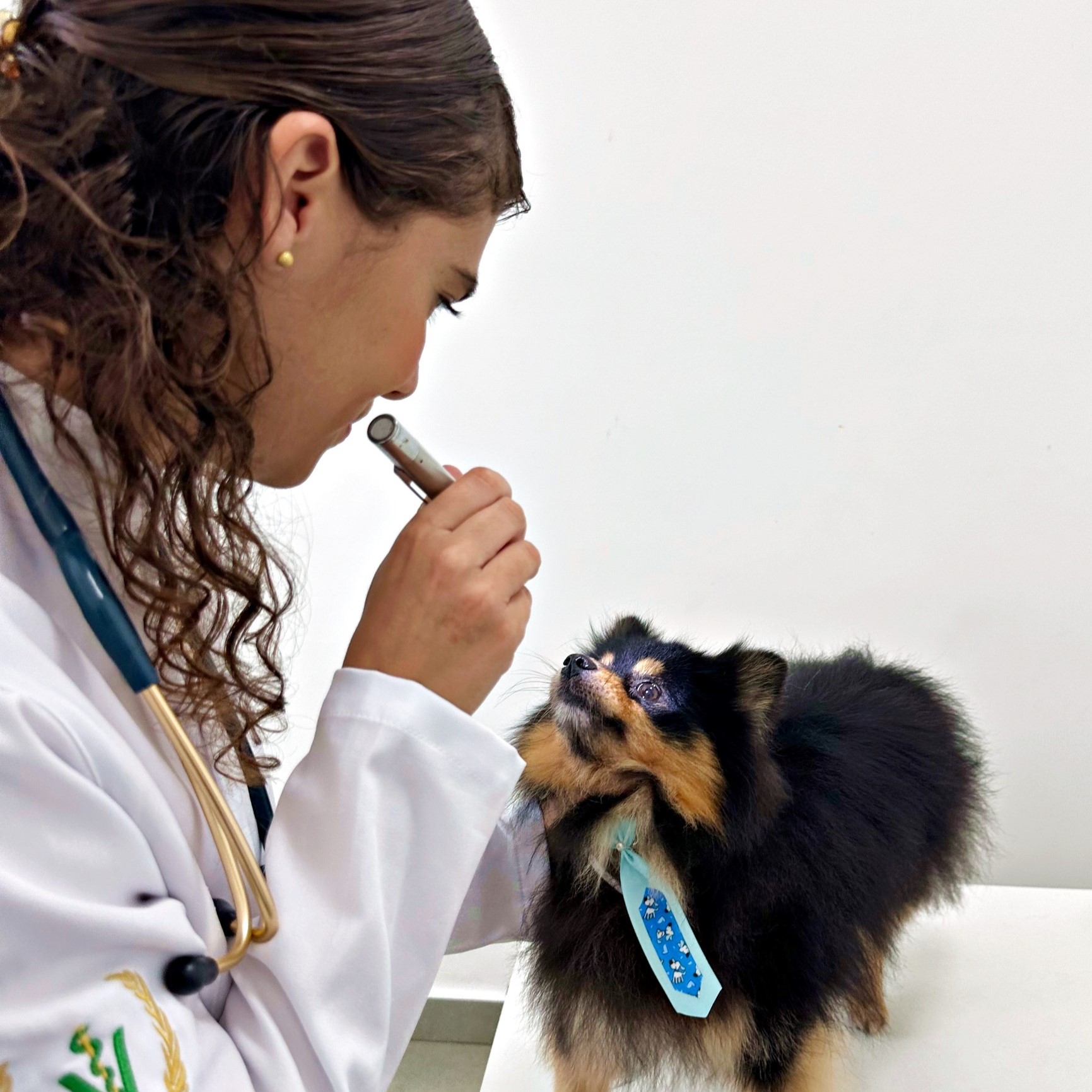 Consultas Especializadas